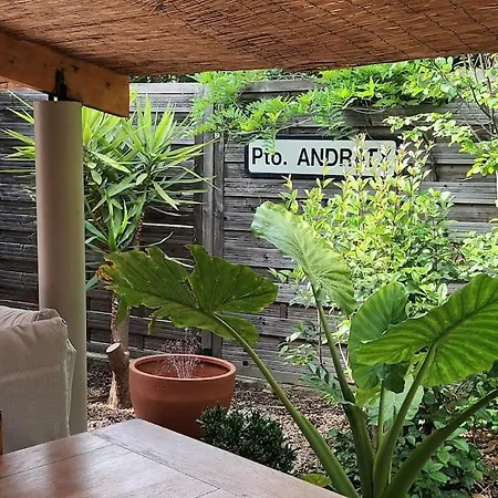 Jardin, Piscine & Petanque, Six Fours/sanary *
